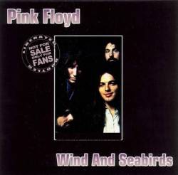 Pink Floyd : Wind and Seabirds